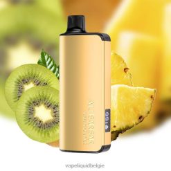 Alibarbar Ingot 20000 wegwerpdamp kiwi-ananas DZ24038 Vape Smaken