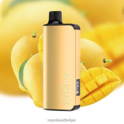 Alibarbar Ingot 20000 wegwerpdamp mango-magie DZ24048 Vape Smaken