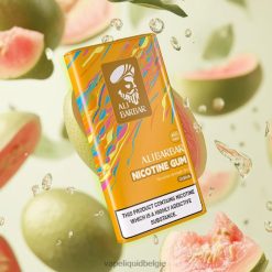Alibarbar nicotine kauwgom guave DZ240100 E-Liquid Kopen België