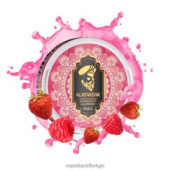 Alibarbar nicotinezakjes aardbei framboos DZ24092 Vape Liquid