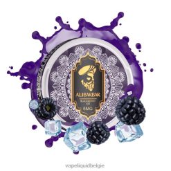 Alibarbar nicotinezakjes bramen ijs DZ24097 Vape Liquid