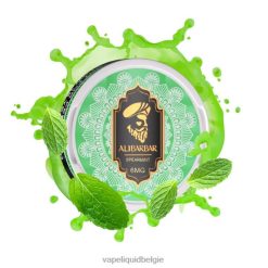 Alibarbar nicotinezakjes groene munt DZ24090 E-Liquid Kopen België