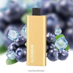 Alibarbar Pandora 7000 wegwerpdamp bosbessen briesje DZ24051 Vape België