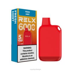 RELX Crush Pocket 6000 5% hoge nic | 488L29 Vape Liquid verse munt